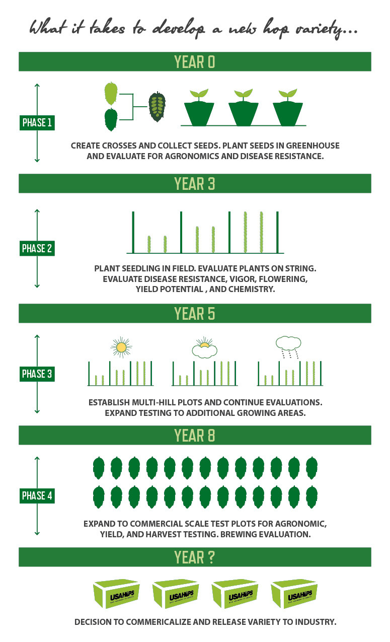 Hop Chart